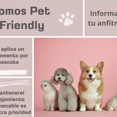 Antolin Yellow Door Ponferrada Εξωτερικό φωτογραφία