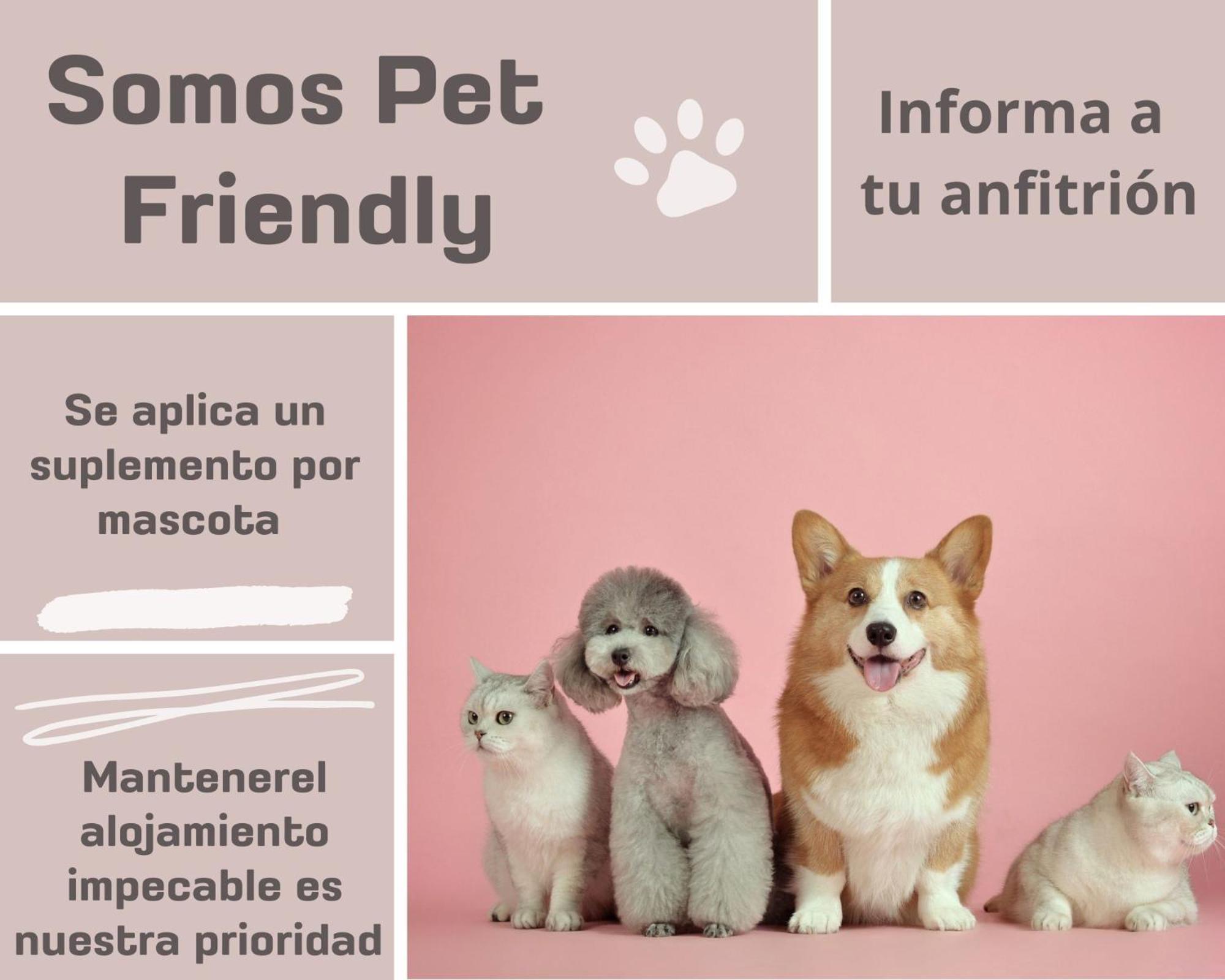 Antolin Yellow Door Ponferrada Εξωτερικό φωτογραφία